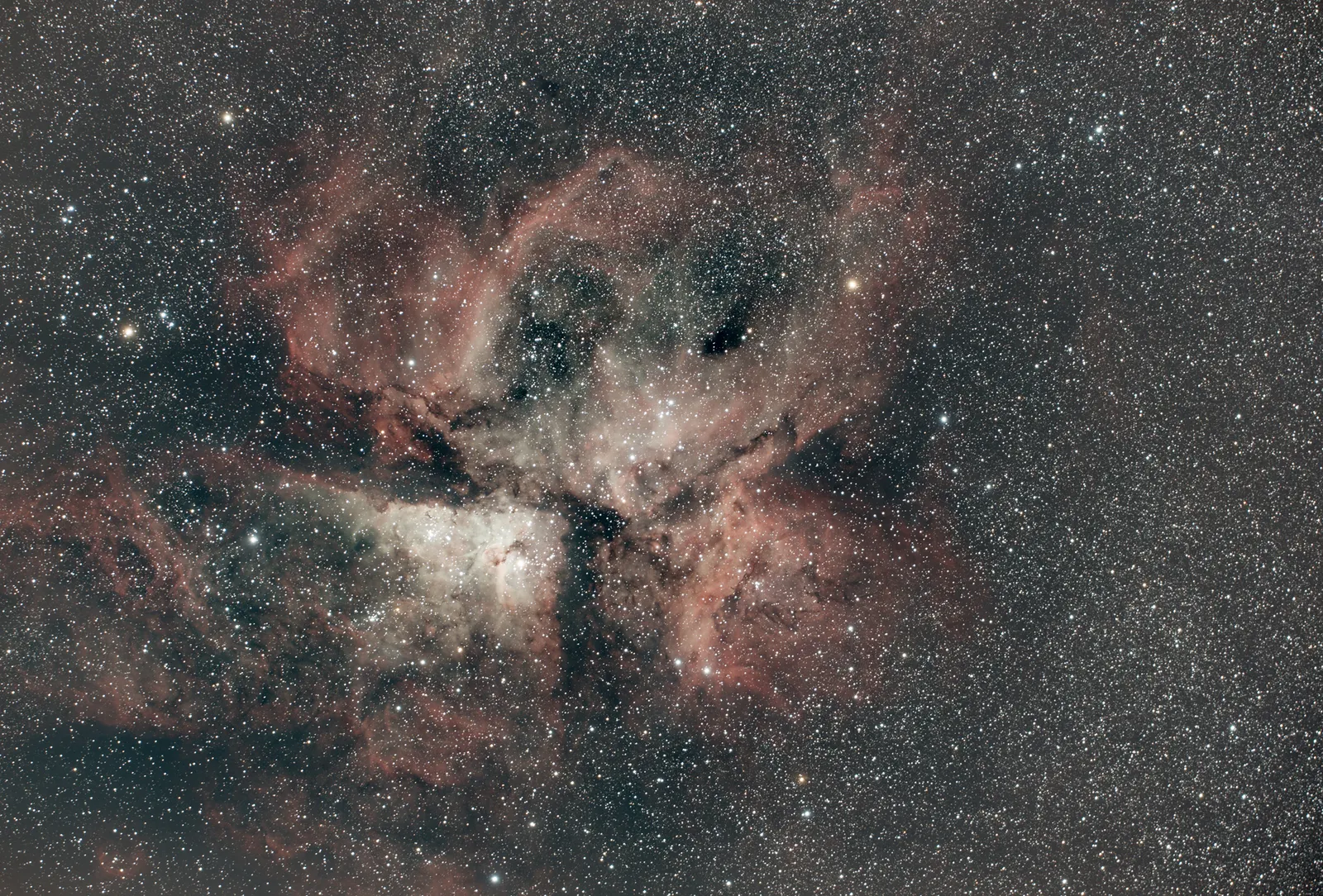 Carina — wide field