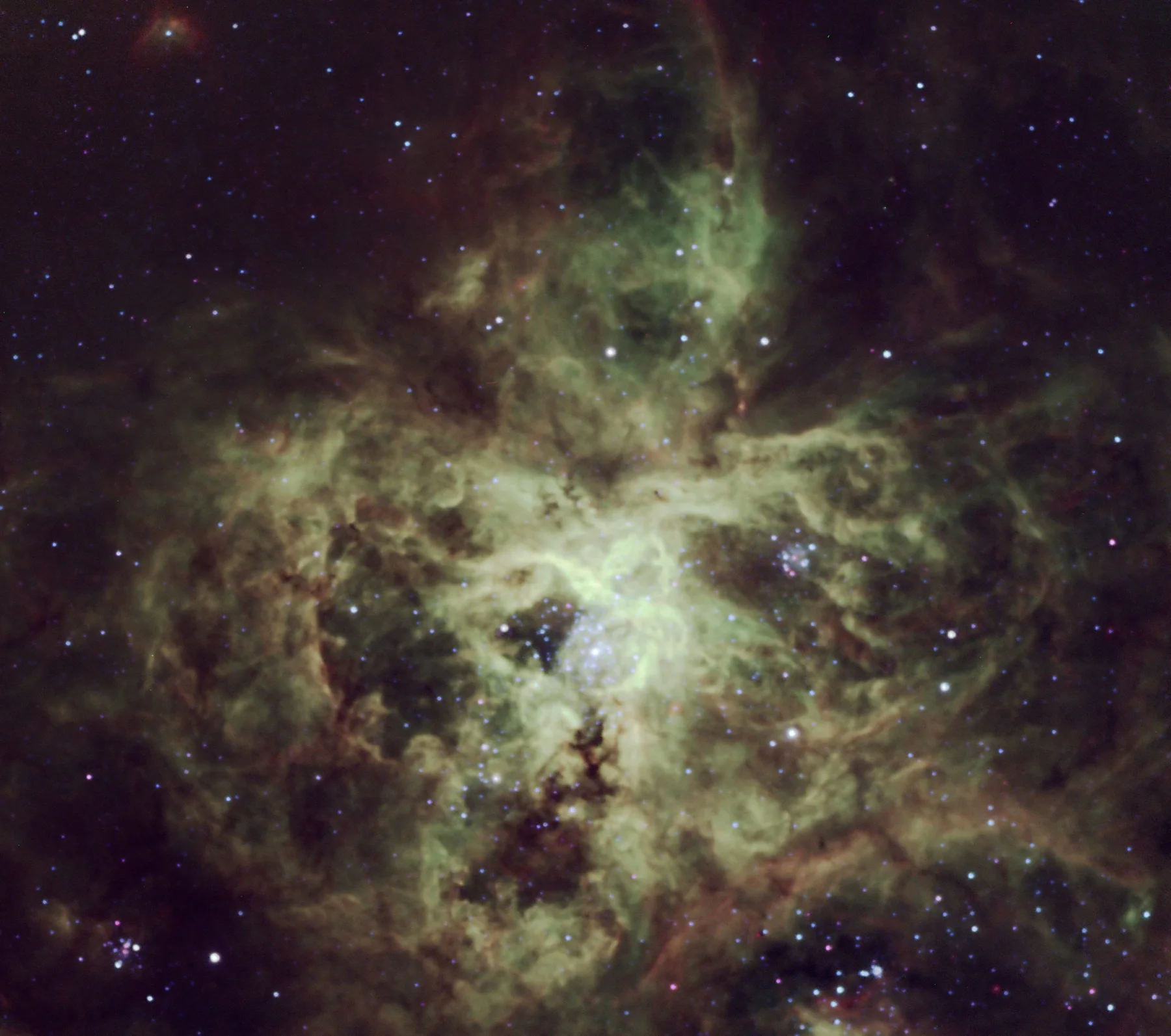 Tarantula Nebula