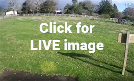 Weather Underground PWS IAUCKLAN565